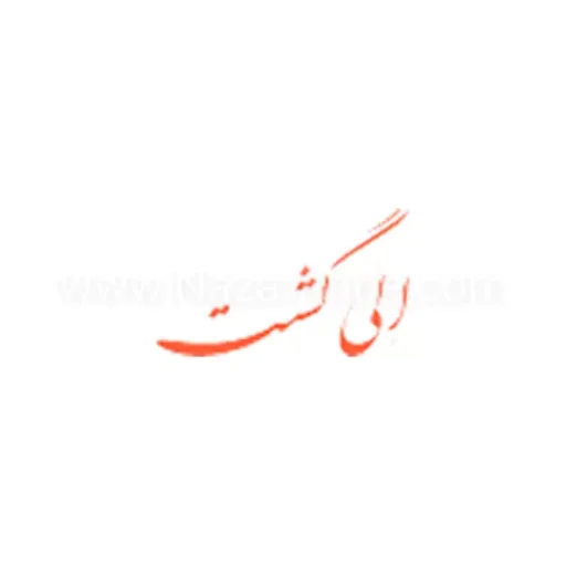 الی گشت