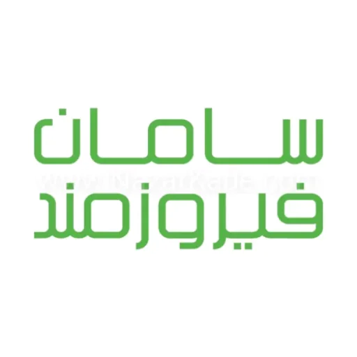 سامان فیروزمند استراتژیست فروش و رشد محصول